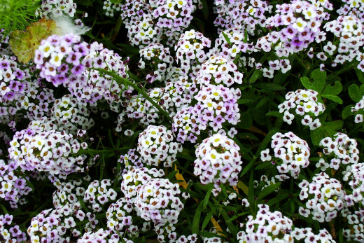 640056 (a): :1920x1280